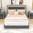 Harsukh Queen Upholstered Bed with LED Lights-997063910