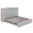 Amy-Jane Murphy Bed-1054149242-1054149241