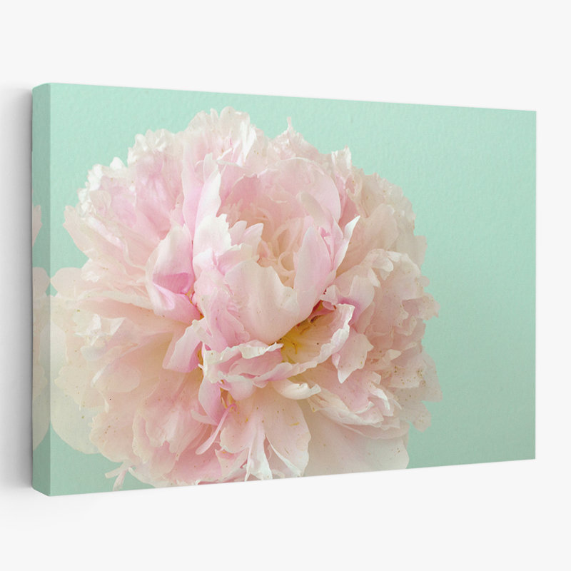Plantes, fleurs, éclaboussures, art mural, H 16 po x l 24 po