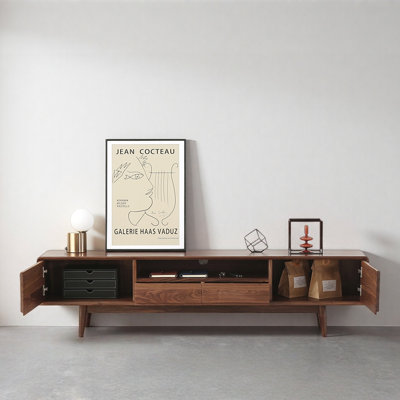 Minimalist Creative TV Stand