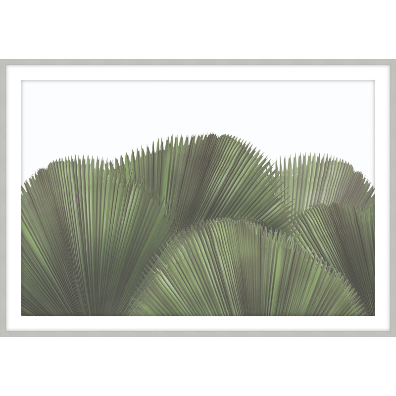 «Tropical Leaves 3», reproduction d'art encadrée, H 22,5 po x l 31,5 po
