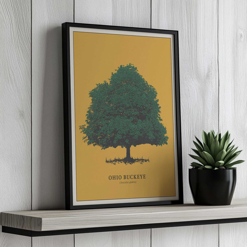 «Ohio Buckeye» par Deny Designs, reproduction d'art, Noir, Impression encadrée, 40 x 30