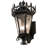 Tianna Steel Armed Sconce