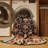 Machine Washable Persian Brown Area Rug-1906981112