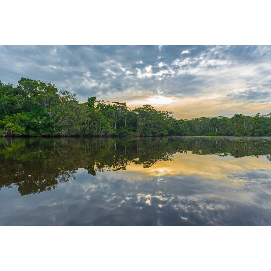 Leinwandbild Amazonas Regenwald Sonnenuntergang Reflexion