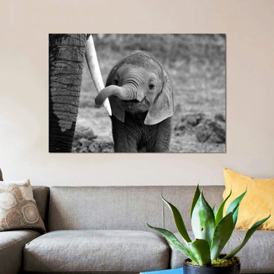 Bjoern Alicke - Wrapped Canvas Print