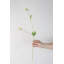 Tige minimale Scabiosa - 19,7 po-852405901-852405907