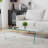 47.2" Tempered Glass Coffee Table for Living Room with V-shaped Legs