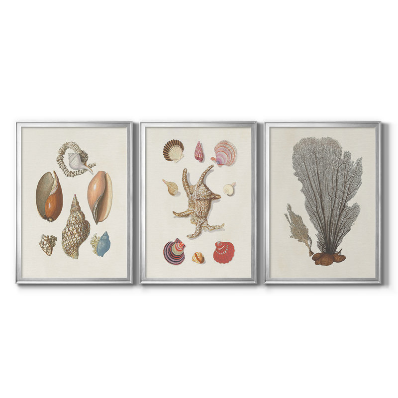 Knorr Shells & Coral I - Toile tendue avec châssis sur mesure - 3 pièces, H 39 po x l 81 po, Argent argent