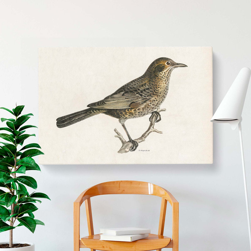 Blackbird by Von Wright - Wrapped Canvas Painting, 50cm H x 76cm W x 3cm D