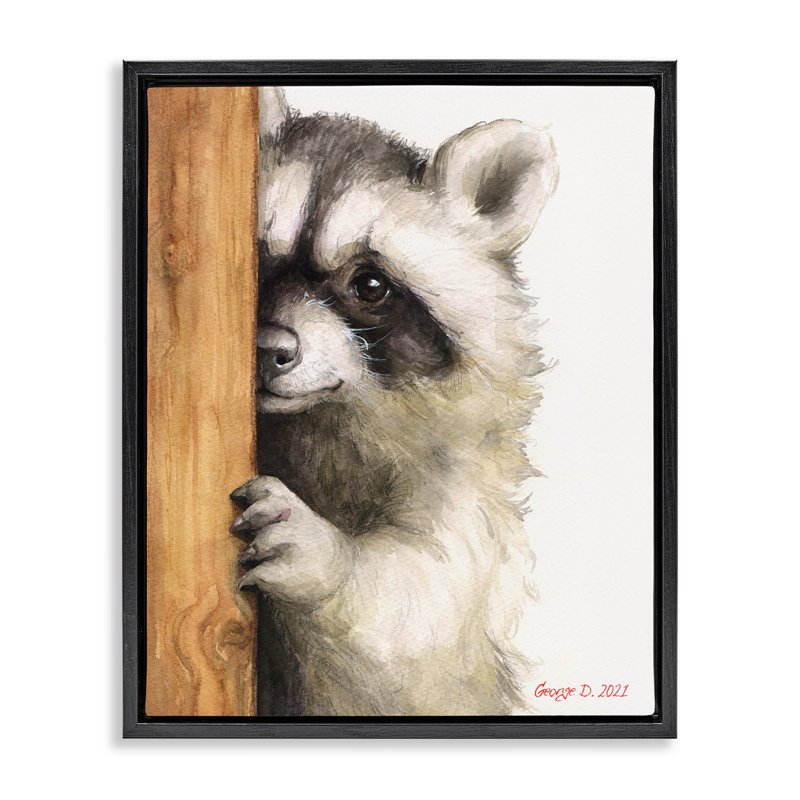 «Peering Raccoon» par George Dyachenko, Cadre flottant noir de jais, H 21 po x l 17 po