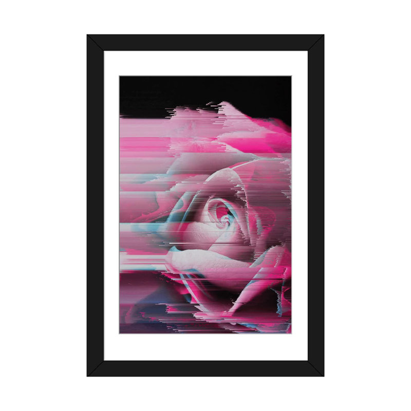 « rosa rosae », impression sur toile, H 24 po x l 16 po x P 1 po, Papier d'art encadré noir, Blanc