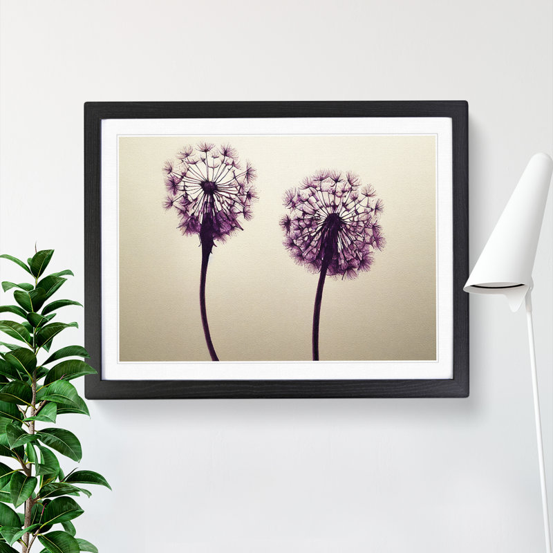Dandelion Watercolour - Framed Print, Black, 34cm H x 46cm W x 2cm D