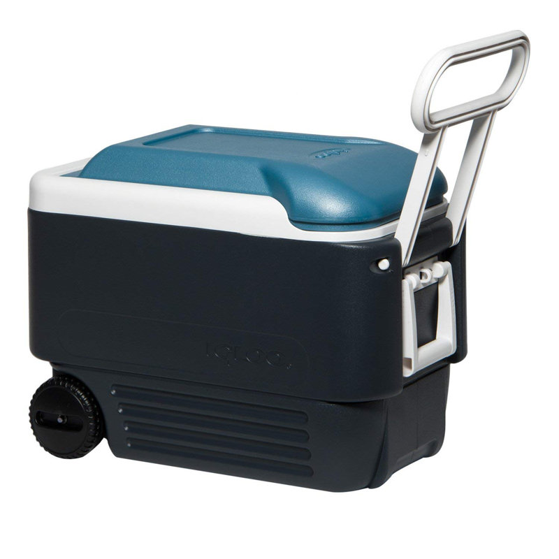 Maxcold Igloo 40 Quarts Ice Chest with wheels, Dark Blue