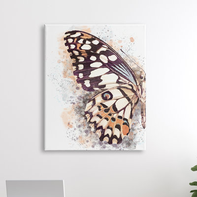 Gros plan sur une aile de papillon