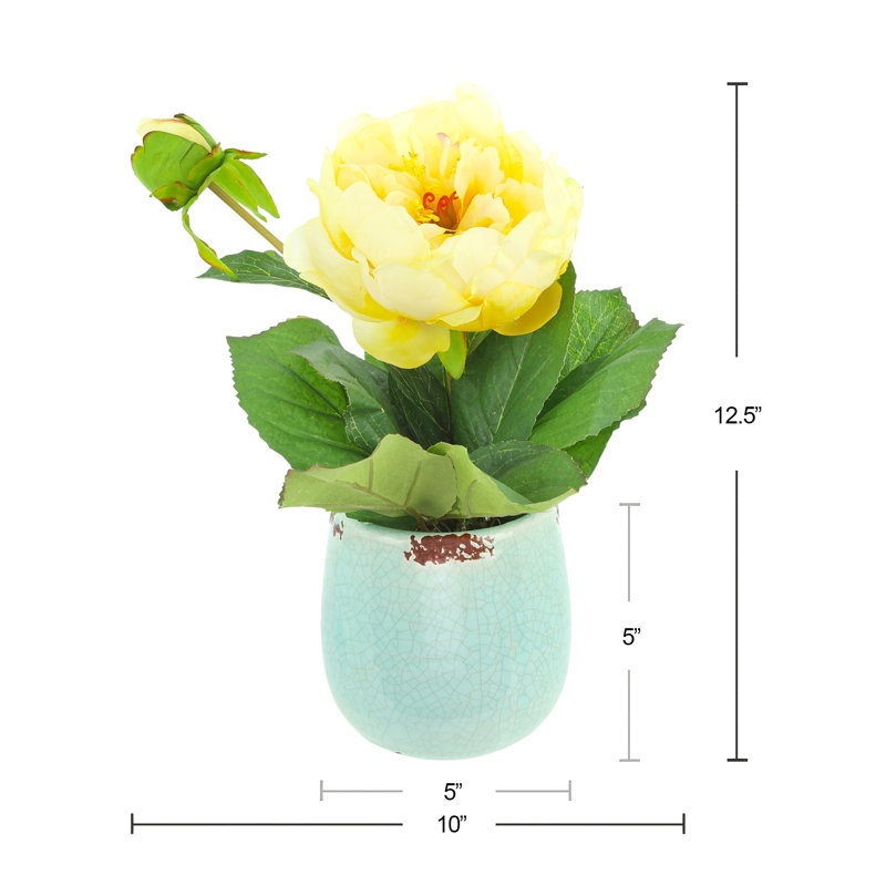 Peony in Ceramic Vase