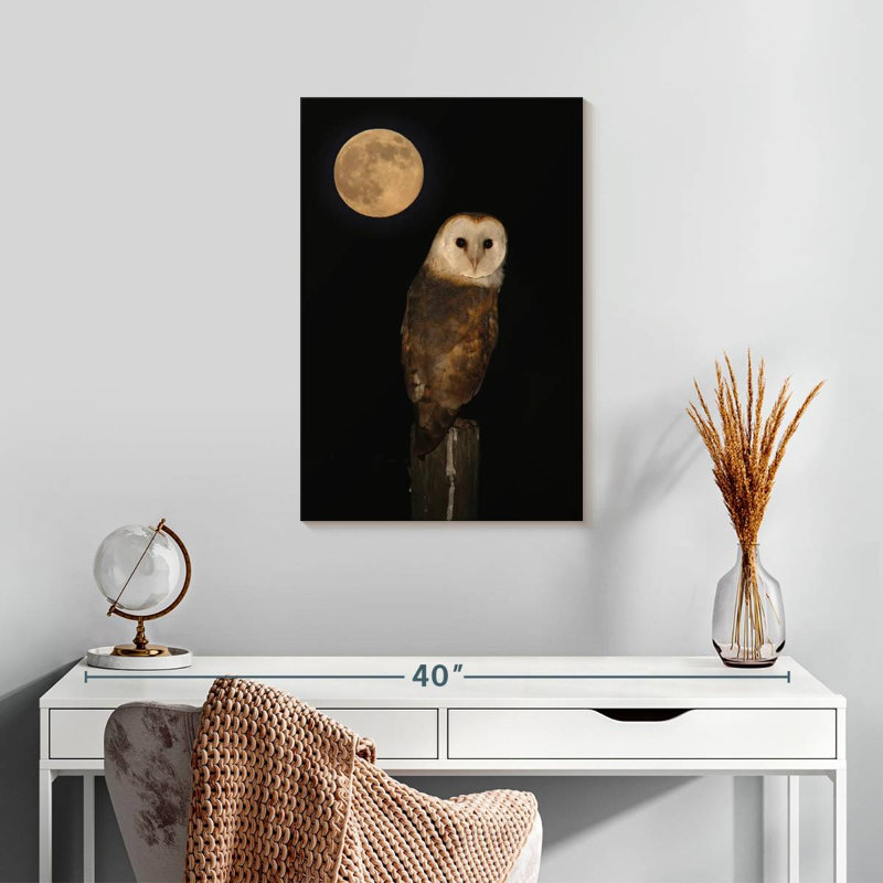 Full Moon Owl