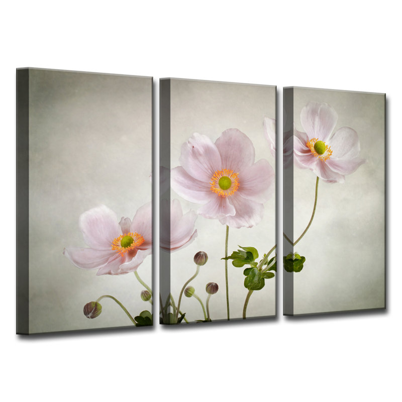 « anemones », impression à multiples images sur toile, H 24 po x l 36 po x P 1,5 po
