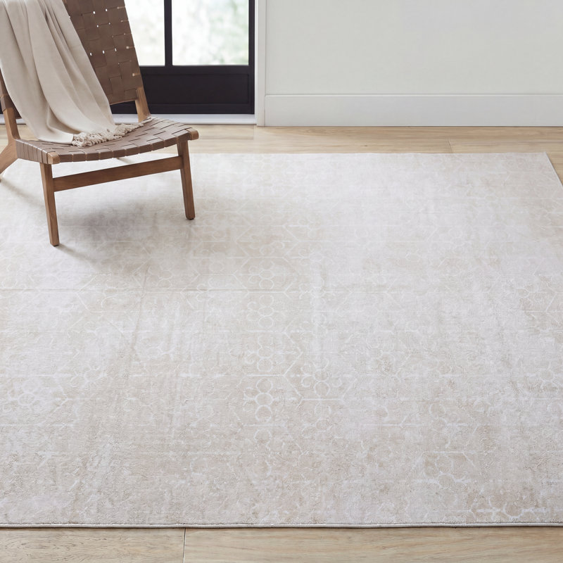 Tapis délavé 8 pi x 10 pi