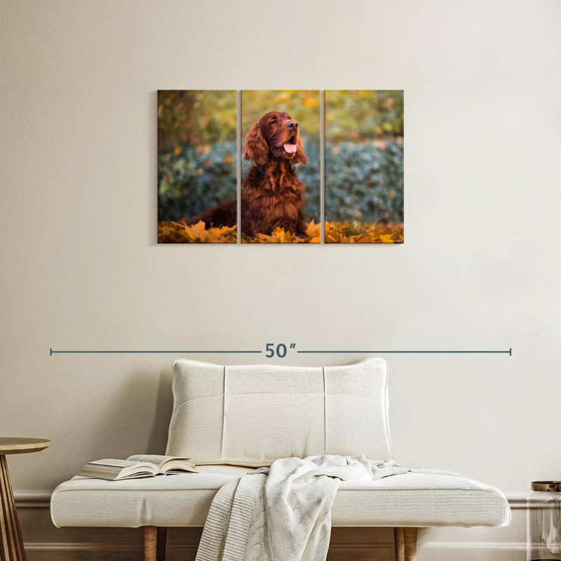 Setter irlandais en automne, H 20 po x l 33 po
