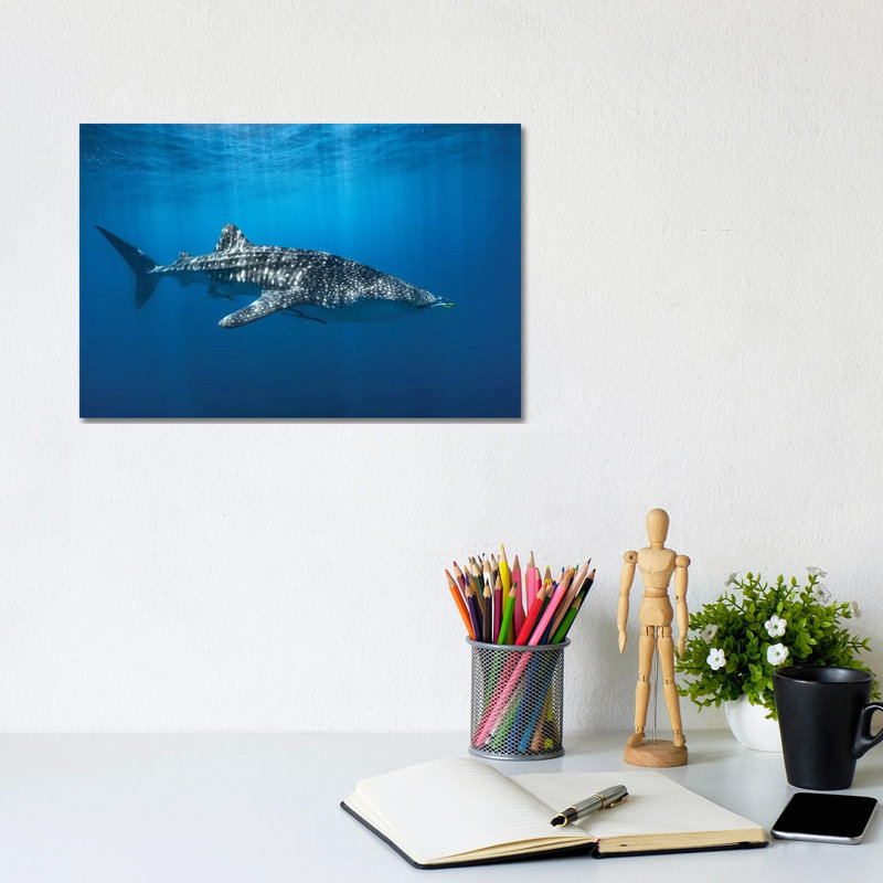 Whale Shark In The Blue by Barathieu Gabriel - Print on Canvas, 20.32cm H x 30.48cm W x 1.91cm D, Wrapped Canvas