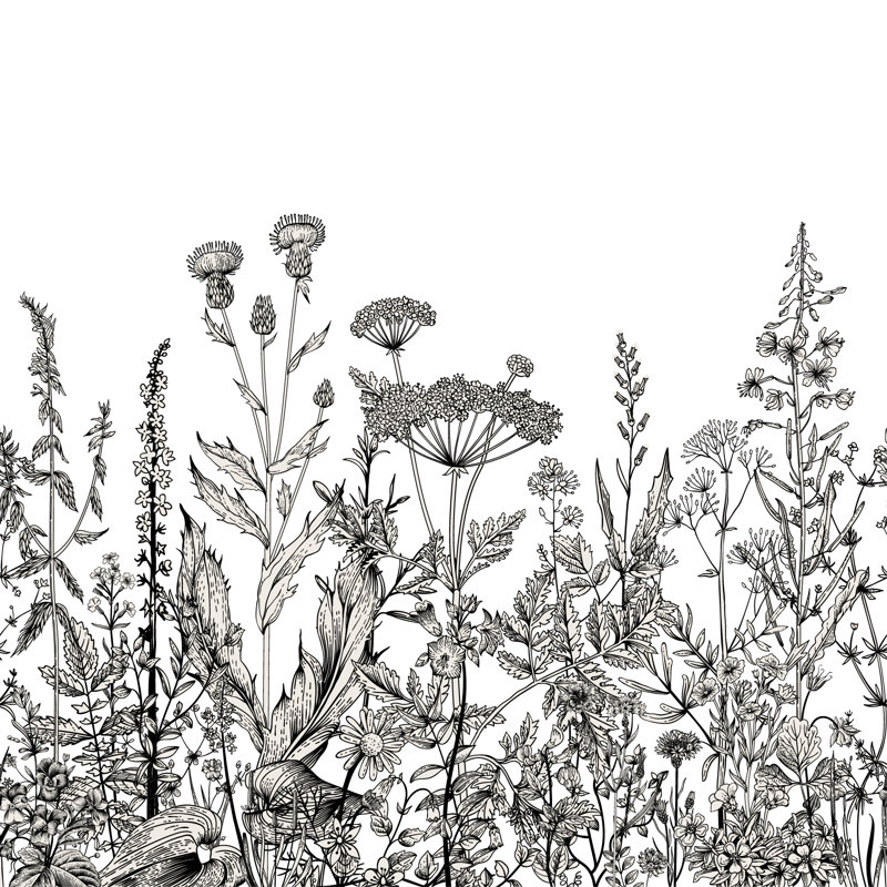 Panneau de papier peint amovible en textile noir et blanc fleurs plantes de jardin Palmer, L 106 po x l 187 po