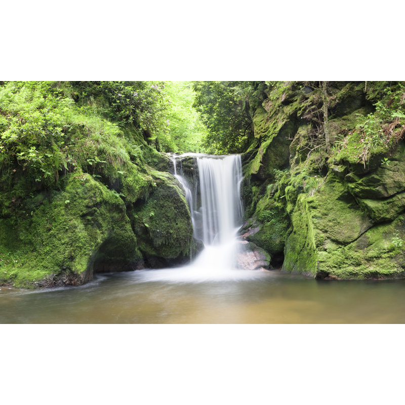 Gardner Wall Mural, 27" w x 54" L