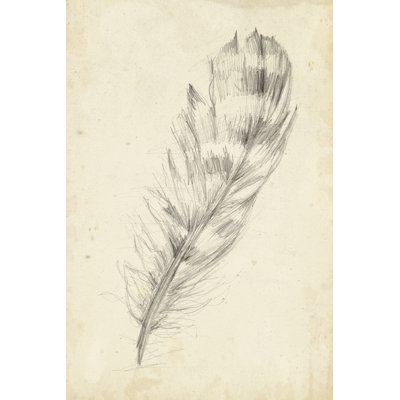 Feather Sketch II by Ethan Harper - Wrapped Canvas Art Prints