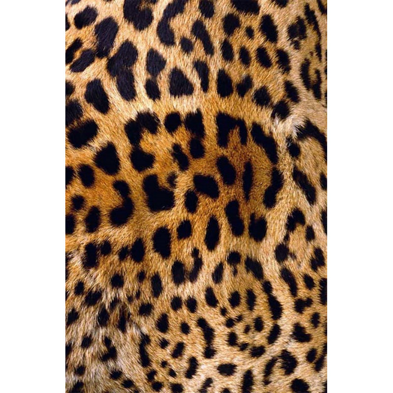 Tapis noir / brun Alarik, Rectangle 4 pi 7 po x 7 pi 3 po