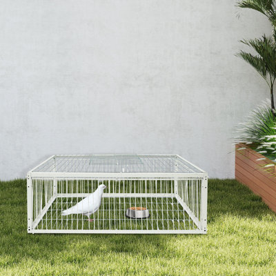 Cage à pigeons rectangulaire autoportante