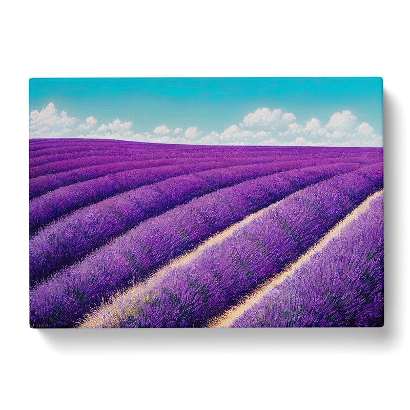 Effervescent Lavender Flower Field - Wrapped Canvas, 50cm H x 76cm W x 3cm D