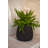Hestia S, Umber Brown