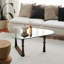 Vindas Coffee Table-712010971