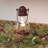 Jaali Standard-1184038124