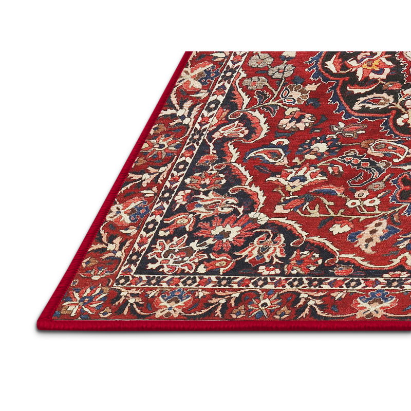 Oriental Indoor Rug, Rectangle 5' x 7'