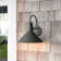 Rafal 1-Light Dusk To Dawn Sensor and Motion Sensor Outdoor Wall Lights