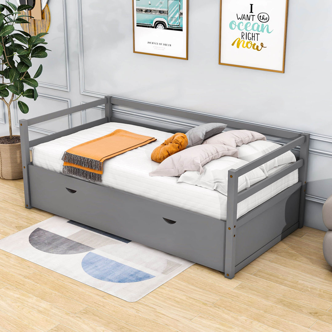 Demoraes Twin Size Wood Daybed with Trundle Red Barrel Studio®