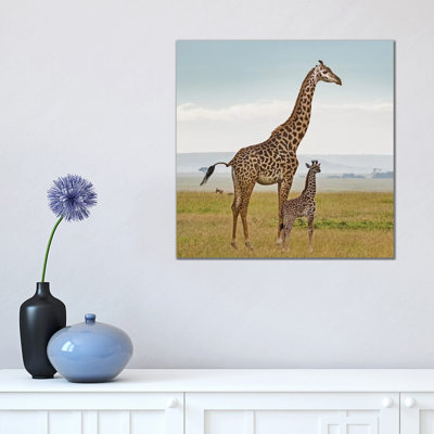 Colour Giraffe & Calf by Klaus Tiedge - Print on Canvas