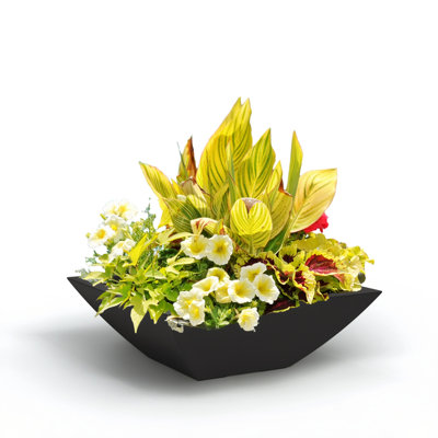 Pot à fleurs 20 po Mayne Evolve