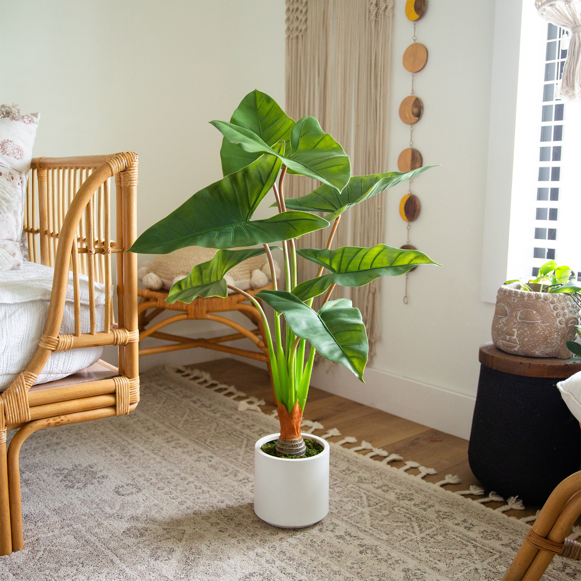 plant bug spray indoor Catcher Labs Natural Insect Spray for Indoor and Outdoor Use main image 0