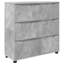 80cm W Chest of Drawers-805066012