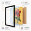 Red Poppy Study Botanical - Print-175582419-175582430