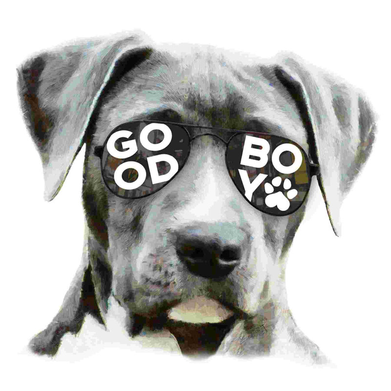 " Good Boy Dog Sunglasses ", 12" H x 12" W  