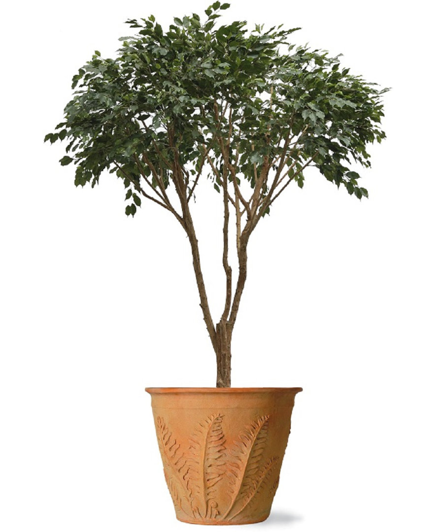 Vazquez Fiberglass Planter