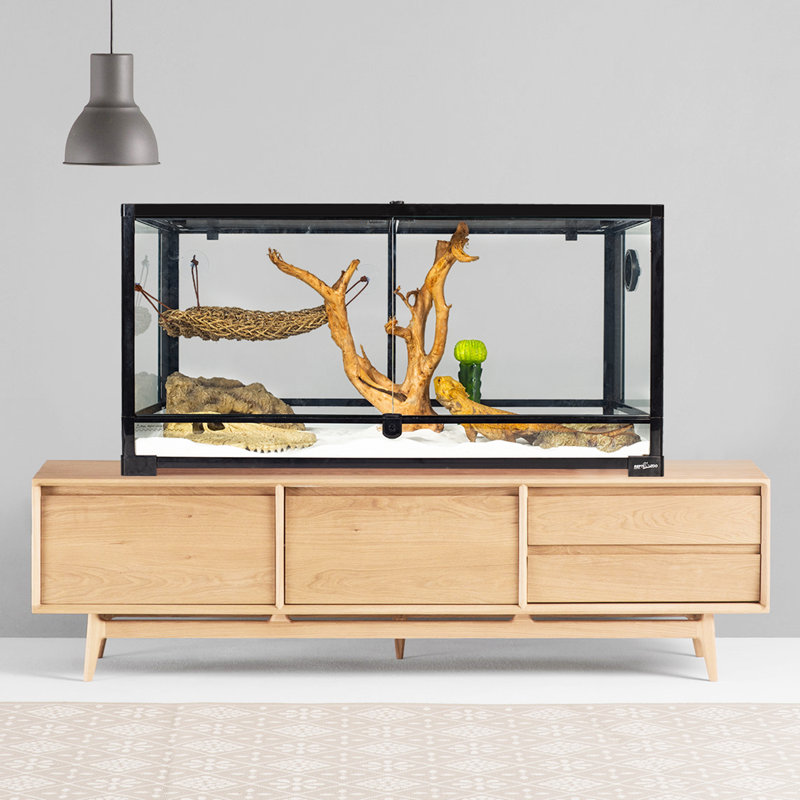 Black Glass Terrarium with Double Hinge Door and Screen Ventilation, 36" x 18" x 18"
