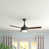 Brushed Polished Nickel with Dark Oak Blades selected