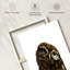 Curious Owl-492040284