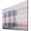 Parvez Taj - Wrapped Canvas Print-12309134