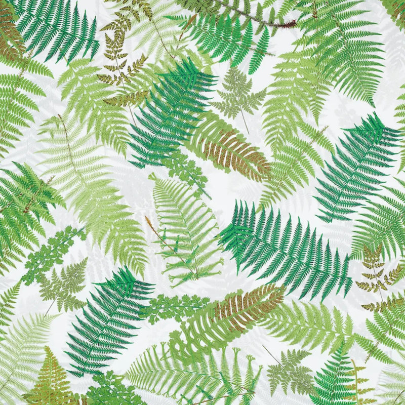 Schumacher x Clements Ribeiro Fernarium Fabric, Green/Ivory