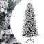 Christmas Tree-223712024-223712025